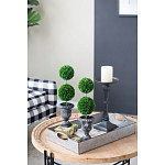 Декоративный искусственное растение Double boxwood варинант исполнения - 8 | Loft Concept в Уфе