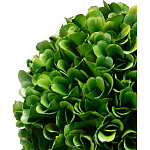 Декоративный искусственное растение Single boxwood варинант исполнения - 2 | Loft Concept в Уфе