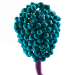 Статуэтка для интерьера фрукт Pandora Tropical Fruit 22 варинант исполнения - 2 | Loft Concept в Уфе