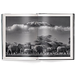 Книга Beusker. Look into my Eyes варинант исполнения - 2 | Loft Concept в Уфе