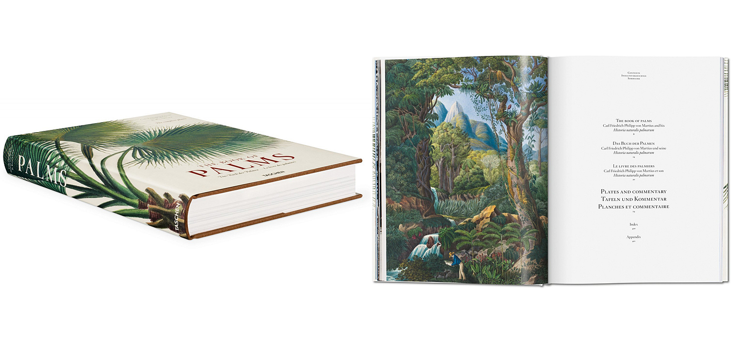 Книга The Book of Palms Книга The Book of Palms - Loft-Concept в Уфе
