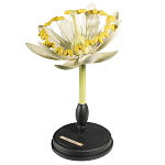 Статуэтка Tilia варинант исполнения - 3 | Loft Concept в Уфе