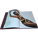 Коллекционная книга Art in Vogue варинант исполнения - 1 | Loft Concept в Уфе