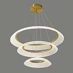 Люстра подвесная с 3-мя кольцевыми светодиодными лампами Catcher варинант исполнения - 1 | Loft Concept в Уфе