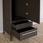 Узкий Шкаф Primo с 2 выдвижными ящиками Темный орех варинант исполнения - 5 | Loft Concept в Уфе