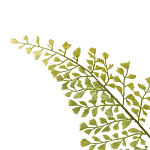 Декоративный искусственное растение Dried flower варинант исполнения - 3 | Loft Concept в Уфе