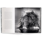 Книга Beusker. Look into my Eyes варинант исполнения - 3 | Loft Concept в Уфе