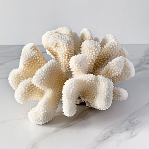 Статуэтка White Cauliflower Coral