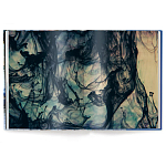 Книга Barbara Cole: Between Worlds варинант исполнения - 3 | Loft Concept в Уфе