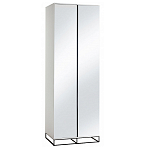 Двухдверный шкаф с зеркальными дверцами Strict Lines варинант исполнения - 5 | Loft Concept в Уфе