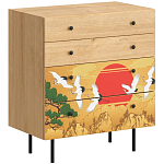 Комод с принтом на ящиках Elise Chest of Drawers варинант исполнения - 4 | Loft Concept в Уфе