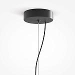 Подвесной светильник Rare grapes варинант исполнения - 4 | Loft Concept в Уфе