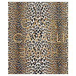 Редкое коллекционное издание Casa Cavalli Home: Celebrating the Roberto Cavalli Lifestyle Леопард варинант исполнения - 1 | Loft Concept в Уфе
