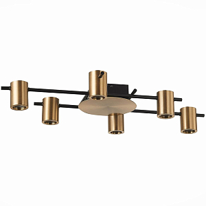 Потолочный светильник Aigle Ceiling Light 6