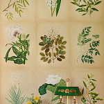 Обои ручная роспись Botanical Studies Linnaeus colourway варинант исполнения - 3 | Loft Concept в Уфе
