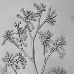 Панно Лесной цветок варинант исполнения - 4 | Loft Concept в Уфе