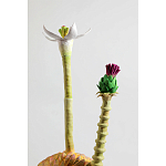 Статуэтка тропический фрукт Pandora Tropical Fruit Orange Two Flowers варинант исполнения - 2 | Loft Concept в Уфе