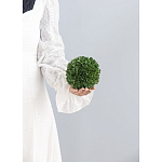 Декоративный искусственное растение Small boxwood варинант исполнения - 3 | Loft Concept в Уфе