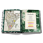 Подарочнный коллекционный фото альбом AFRICAN ADVENTURES NEW 2023 ASSOULINE HC UNBELIEVABLE ILLUSTRATIONS Safari варинант исполнения - 4 | Loft Concept в Уфе