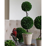 Декоративный искусственное растение Boxwood варинант исполнения - 3 | Loft Concept в Уфе