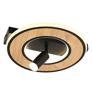 Потолочный светильник круглый GAVIN WOOD