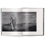 Книга Beusker. Look into my Eyes варинант исполнения - 1 | Loft Concept в Уфе