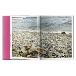 Книга Gisele Bundchen варинант исполнения - 9 | Loft Concept в Уфе