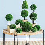 Декоративный искусственное растение Boxwood варинант исполнения - 6 | Loft Concept в Уфе