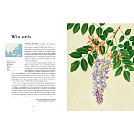 Прекрасно иллюстрированная книга более 100 ботанических произведений Plant Hunters Atlas варинант исполнения - 4 | Loft Concept в Уфе