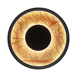 Бра круглое Gold Sun Lighting  варинант исполнения - 1 | Loft Concept в Уфе