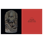 Книга Tantra: Enlightenment to Revolution варинант исполнения - 5 | Loft Concept в Уфе