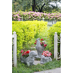 Кашпо The self-confident swan варинант исполнения - 8 | Loft Concept в Уфе